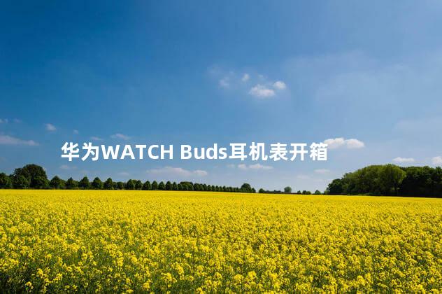 华为WATCH Buds耳机表开箱